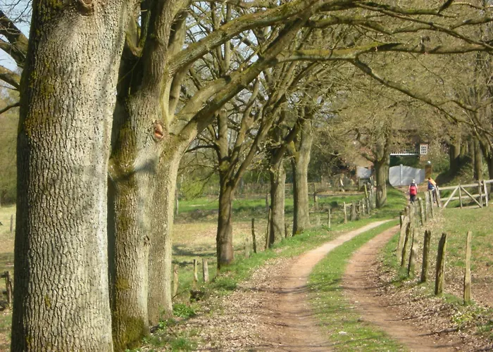 Daire Tueschenbeker Muehle Lübeck